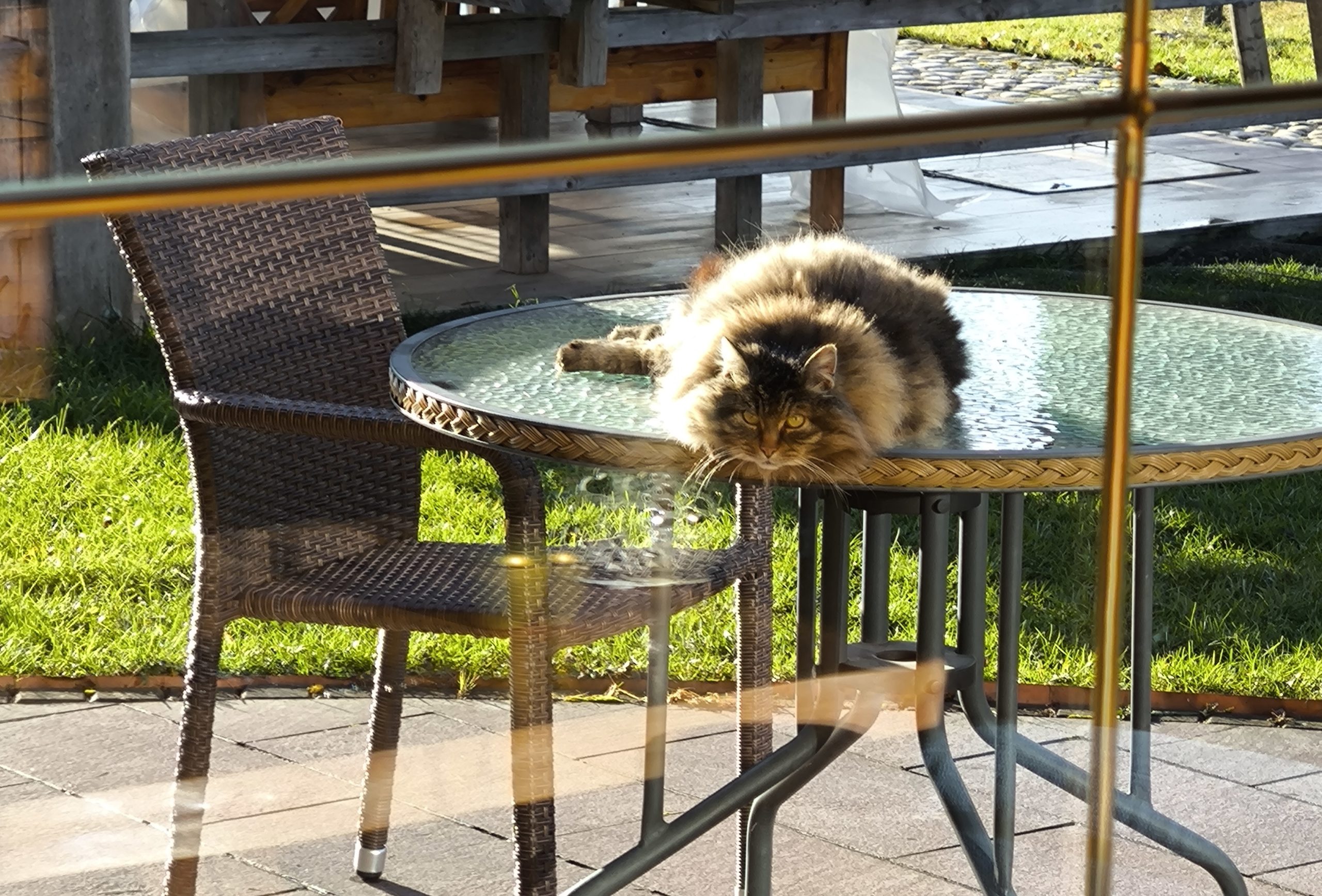 VABLJENI NA VADBE V DRUGEM SEMESTRU 2025/2026